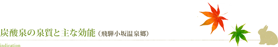 炭酸泉の泉質と主な効能（飛騨小坂温泉郷）indication